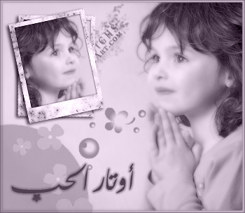 ����� ����